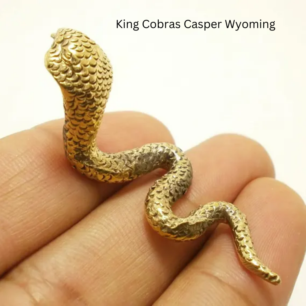 King Cobras Casper Wyoming